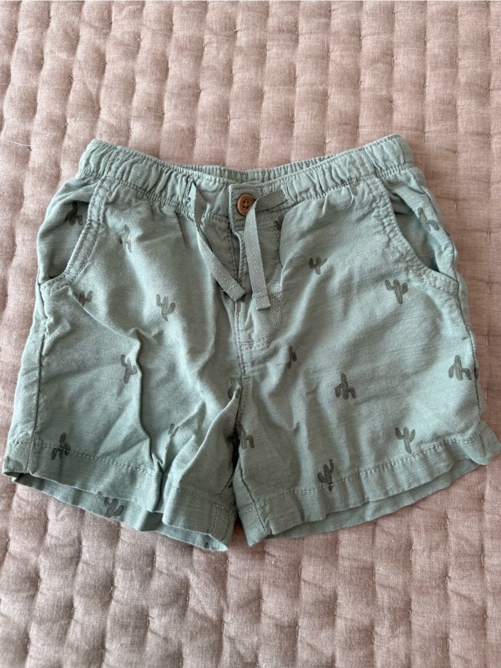 Toddler Boy Cactus Drawstring Shorts - Olive